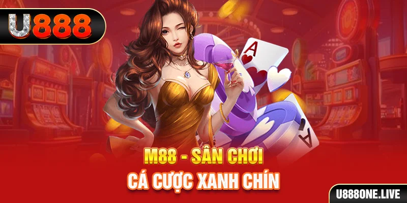 shbet65 kết quả xổ số miền trung hôm nay