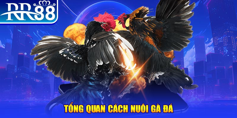 shbet65 game nổ hũ rút tiền mặt là gì