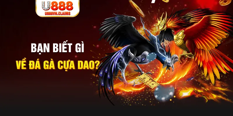 shbet65 SW Xổ Số