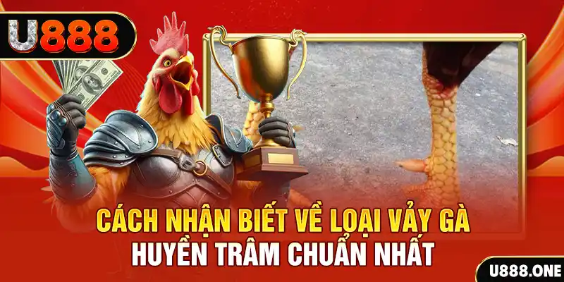 shbet65 đăng nhập nổ hũ số 1