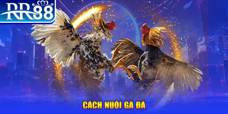 shbet65 đăng nhập phỏm đổi thưởng