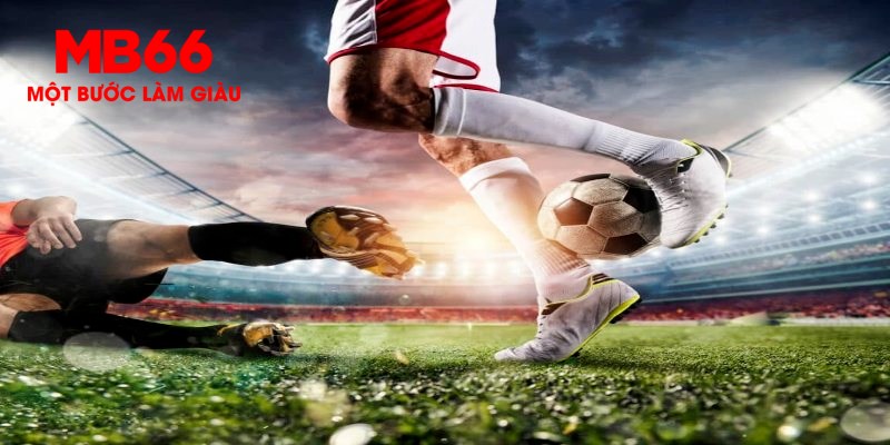 shbet65 trực tiếp đá gà thomo
