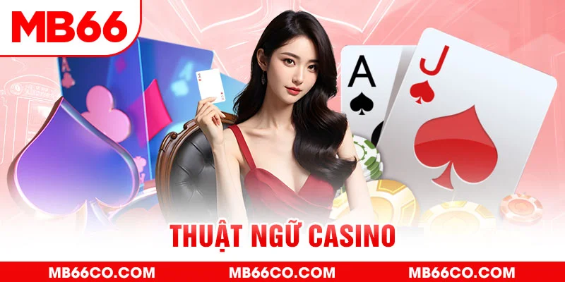shbet65 gà chọi c1 mới nhất