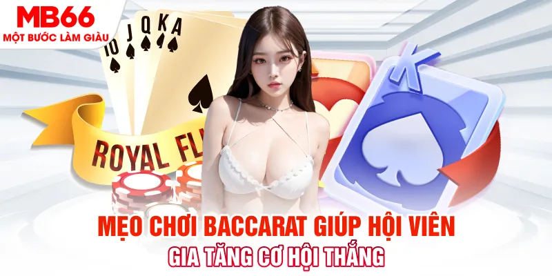 shbet65 đăng nhập nổ hũ trực tiếp