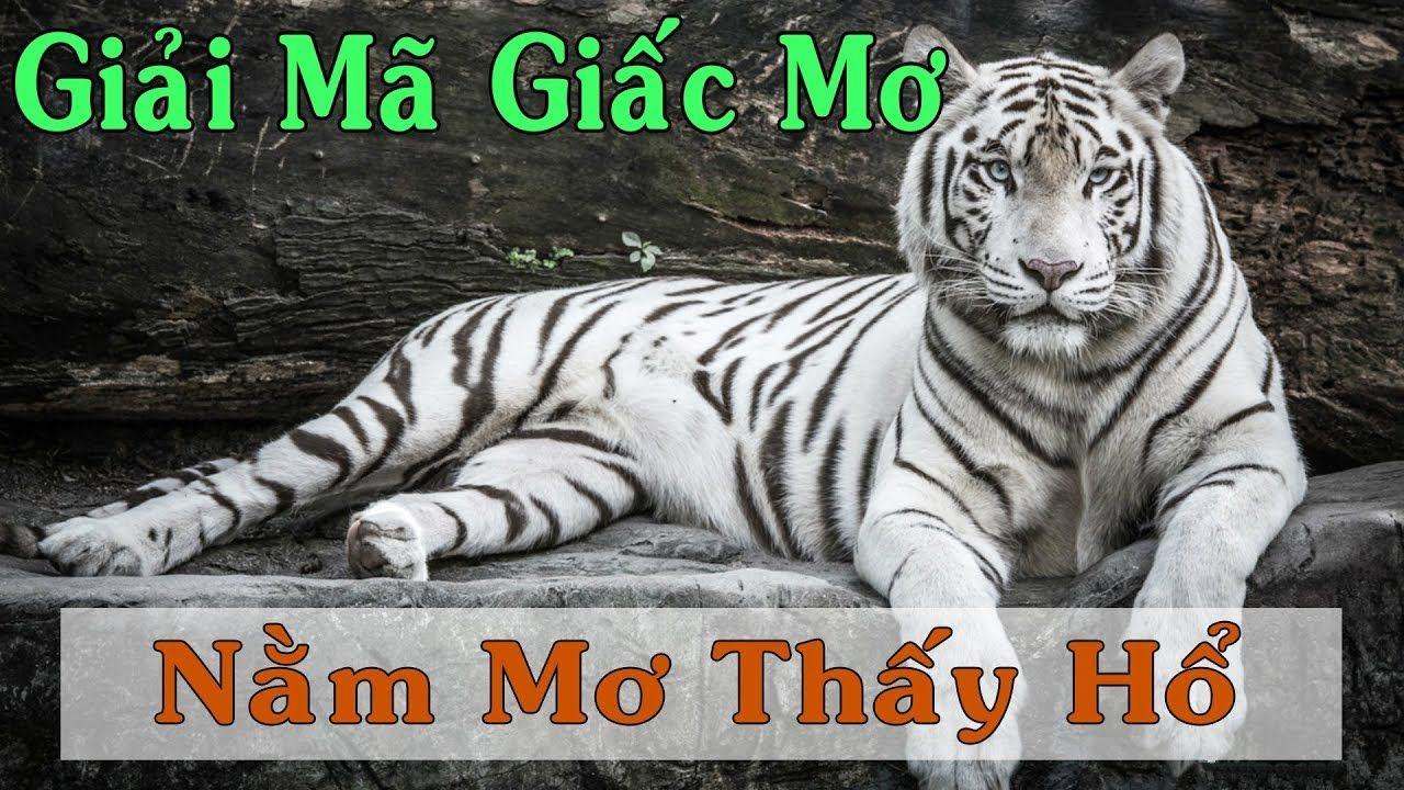 shbet65 nổ hũ là game gì
