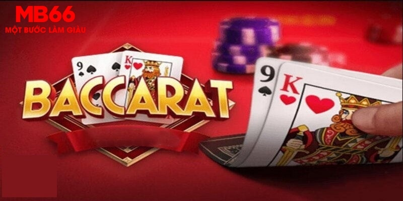 shbet65 how to win at casino slots