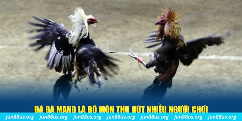shbet65 nổ hủ nghĩa là gì