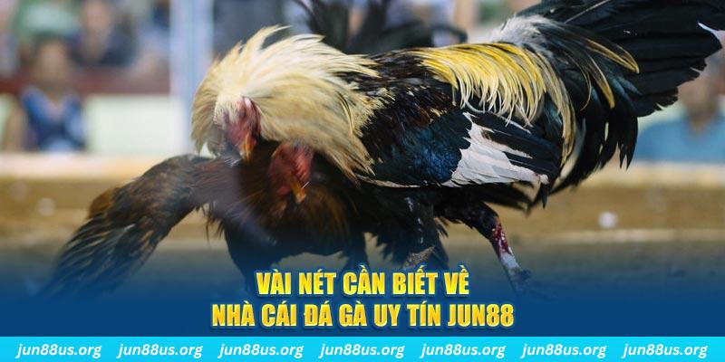 shbet65 đăng nhập phỏm khuyến mãi
