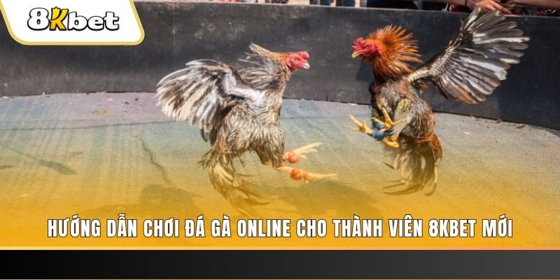 shbet65 JILI Game Bài 3d