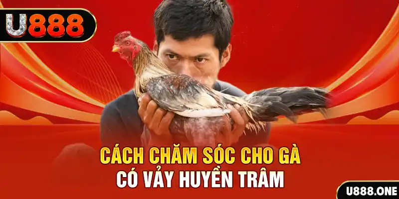 shbet65 bắn cá xèng 3
