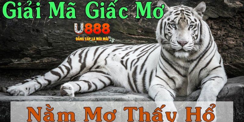 shbet65 xổ số miền bắc xổ số miền bắc