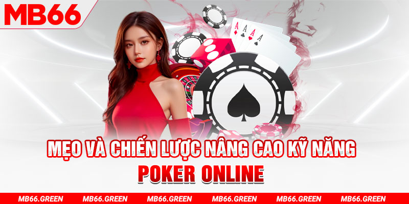 shbet65 chổi lông gà