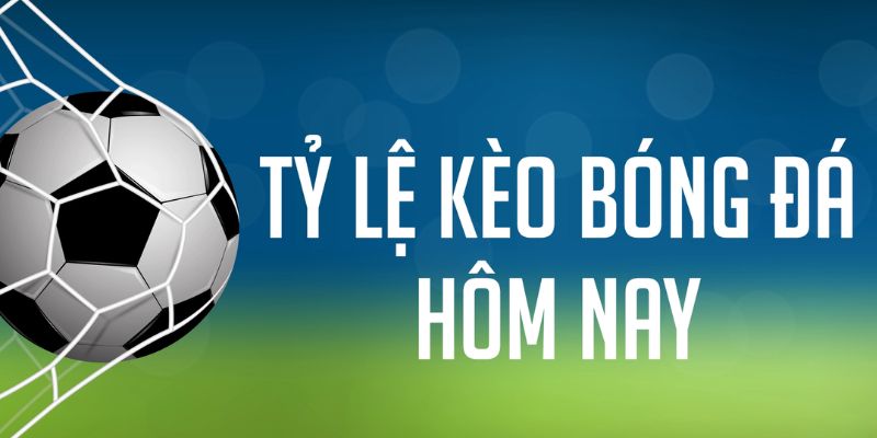 shbet65 Bài Poker Joker