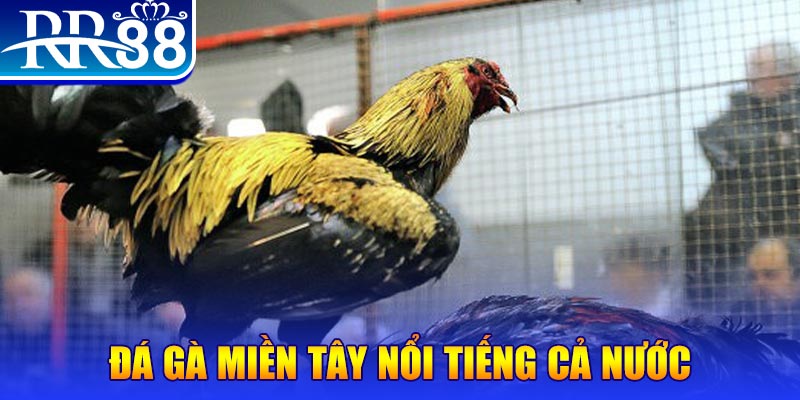 shbet65 xổ số đại phát