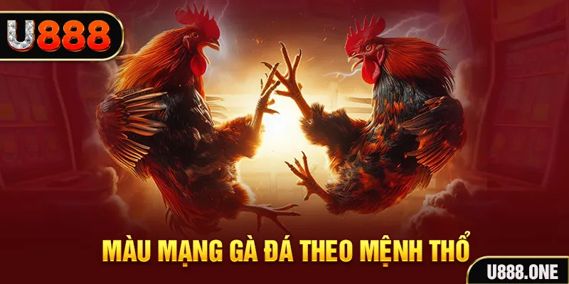 shbet65 đăng nhập sòng bạc hàng đầu