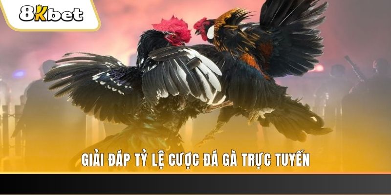 shbet65 ga choi cau thanh
