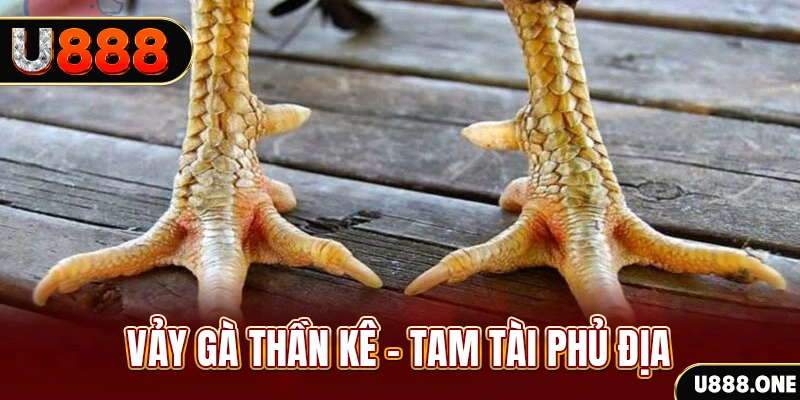 shbet65 xổ số miền trung thứ hai hàng tuần