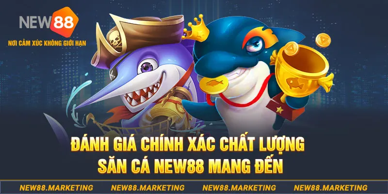 shbet65 đăng nhập mậu binh mới nhất