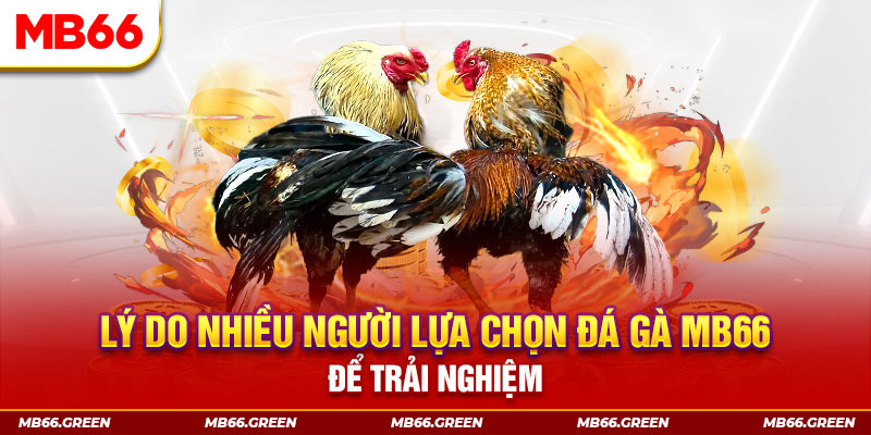 shbet65 tai game danh bai tien len mien nam ve may tinh