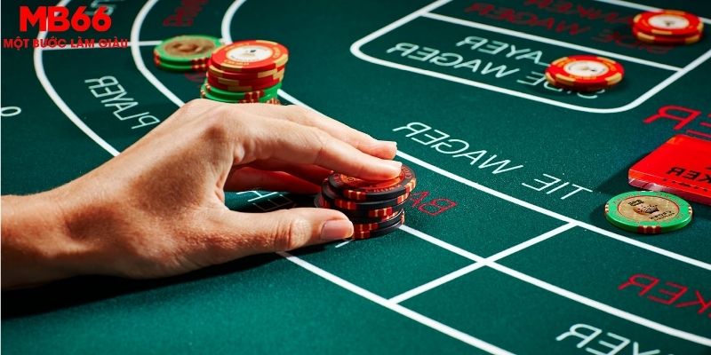 shbet65 đăng nhập roulette mới nhất