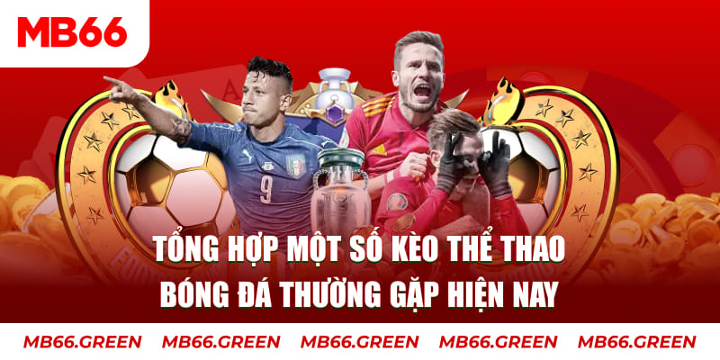 shbet65 người chia bài trong casino gọi là gì