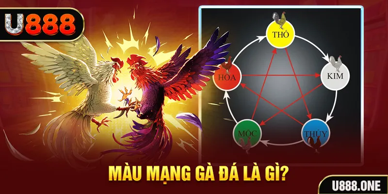 shbet65 xổ số miền trung thứ tư hàng tuần