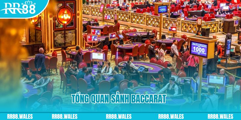 shbet65 đăng nhập roulette