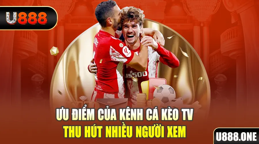 shbet65 gà chọi cu cần