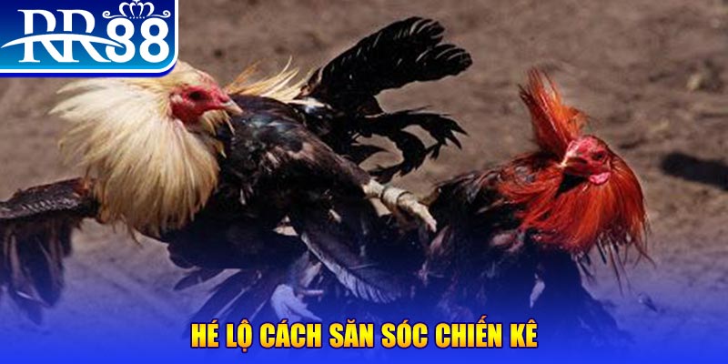 shbet65 xổ số miền trung thứ tư
