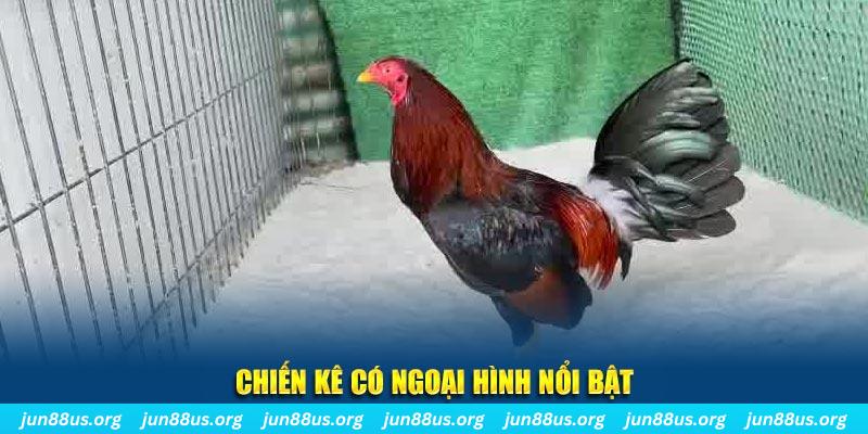 shbet65 game bắn cá