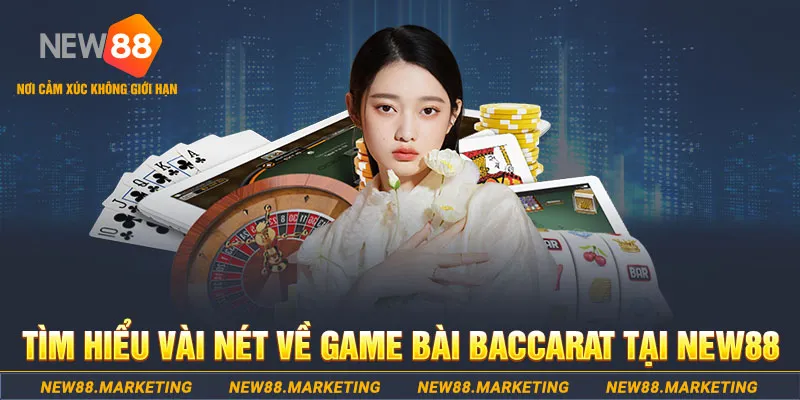 shbet65 gà chọi c1 ô taxi