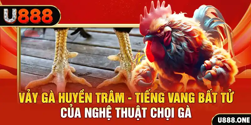 shbet65 đăng nhập roulette trực tuyến