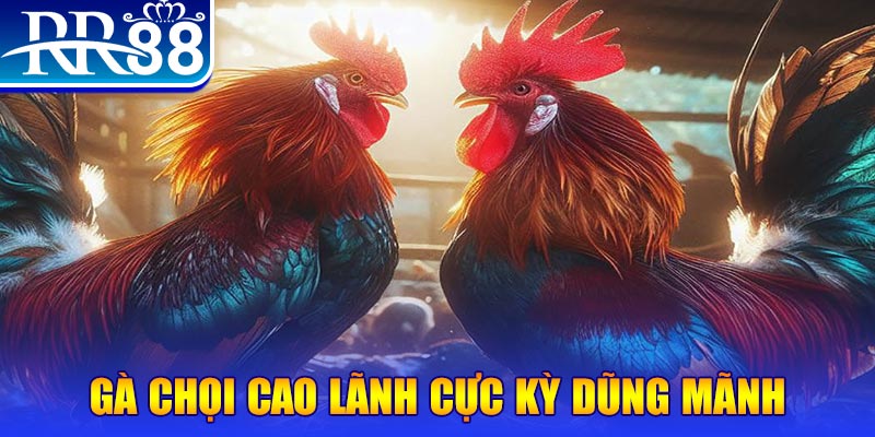 shbet65 HB Điện Tử