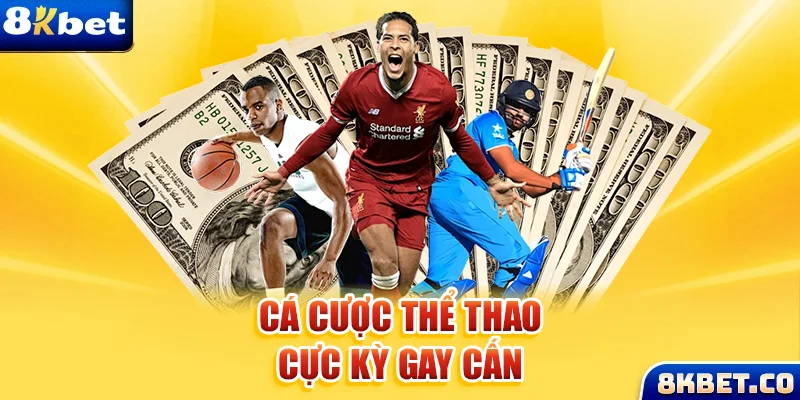 shbet65 xem đá gà trực tiếp